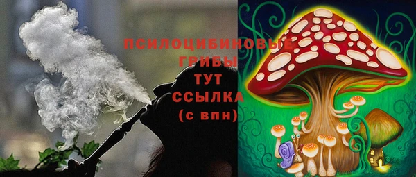 дурь Костерёво