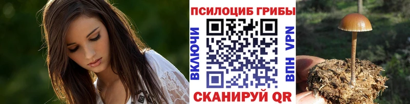 Купить закладки  Старая Купавна  Псилоцибиновые грибы ЛСД 